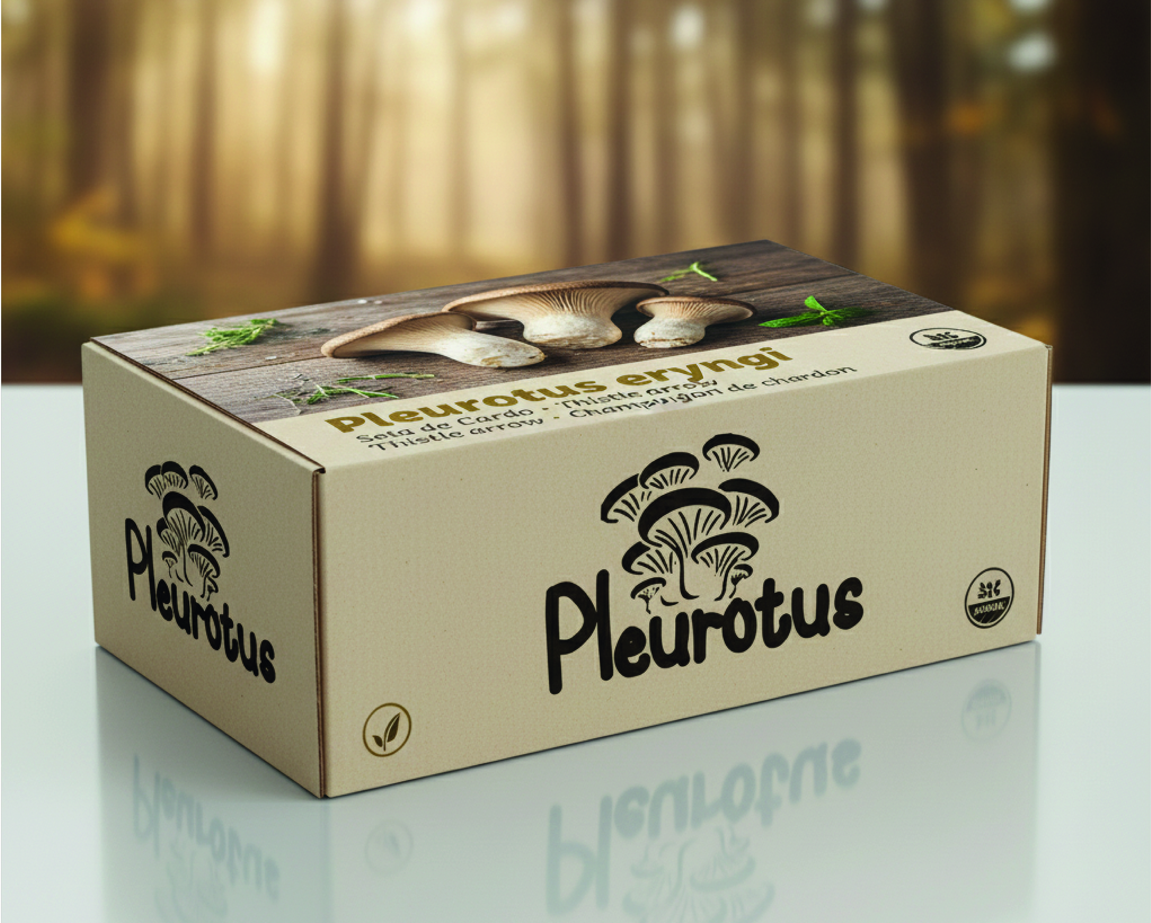 Pleurotus