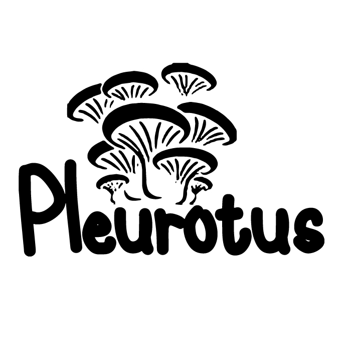 Pleurotus
